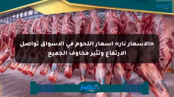 «الأسعار نار» أسعار اللحوم في الأسواق تواصل الارتفاع وتثير مخاوف الجميع